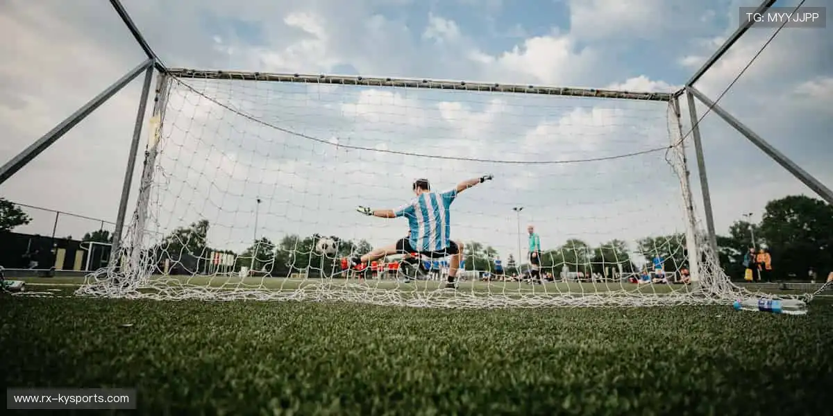 体育周边，冠军同款，你的专属装备库！🏆🎯